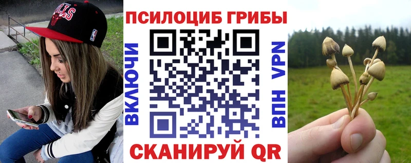 дарнет шоп  Иланский  Псилоцибиновые грибы прущие грибы 